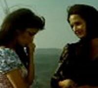 Όμορφες μέρες